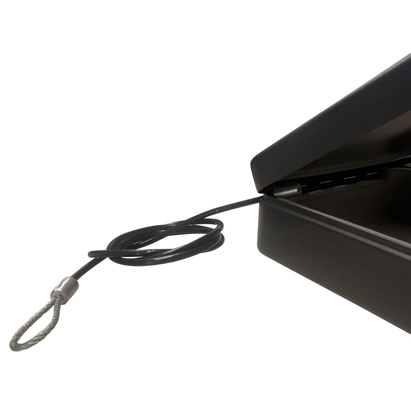 Arregui C9427 Security Box with Cable for fixing, Black