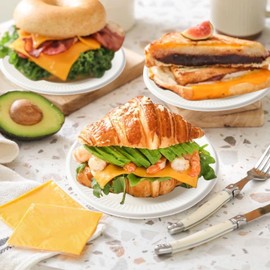 Paper Plates, Pack of 100, Disposable Plates, Biodegradable, Suitable for Parties, BBQs, Children's Birthdays, Weddings, Picnics and Other Events, Robust 250 g/m² (White)