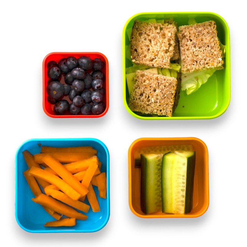 Tyrrell Katz Kids Snack Boxes with Trains Print - Children's