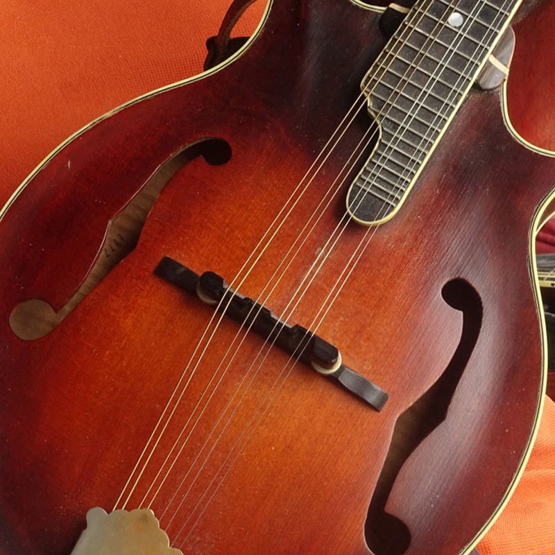 Durable Wood Rosewood Adjustable Bridge Repair Part Accessory for Mandolin