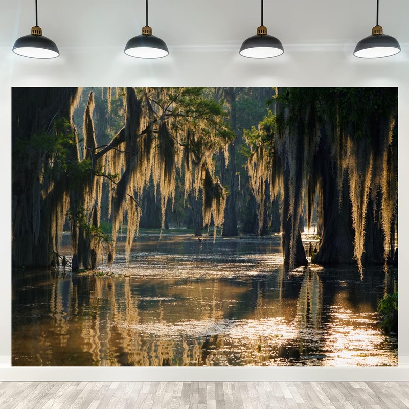 Fmarui Swamp Landscape Backdrop Bald Cypress Trees and Spanish Moss