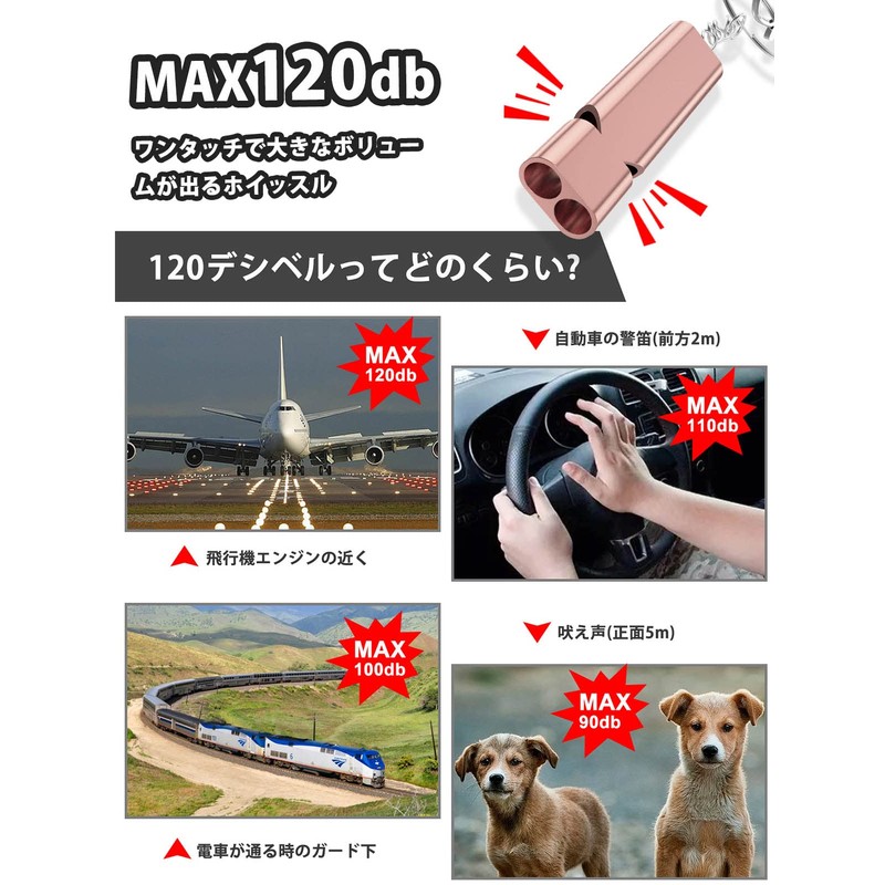 PolySky Whistle, Disaster Preparedness and Rescue Lanyard for Outdoors, School,