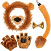 Fartoni Lion Costume Boy or Girl Lion Costumes with Tiara,