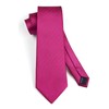 HISDERN Hot Pink Ties for Men Stripe Mens Ties and