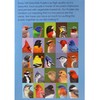 Gift Essentials 1000 Piece Puzzle, Backyard Bird Friends Collage, Jigsaw