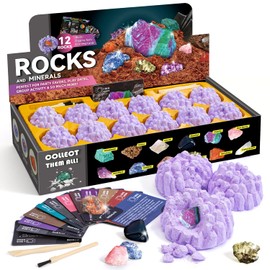Byncceh Minerals Excavation Set for Children from 7 Years, Gemstones Excavation Set with 12 Mineral Stones, Mineralogy Toy, Geology, Archaeology, Gift for Children, Boys, Girls