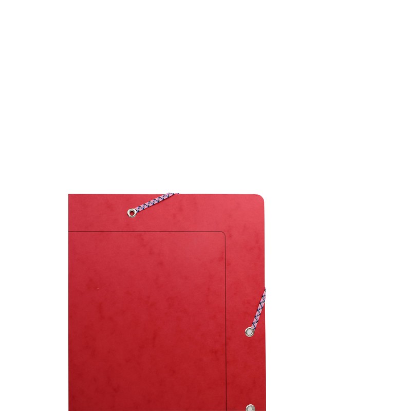 Exacompta - Ref 5270Z - Europa - Elasticated Filing Box,