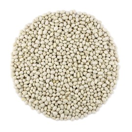 Organic Navy Beans Raw non GMO Vegan Bulk - 5LB