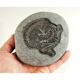 Carved Stone Dinosaur Fossil - Great for Teaching Science and Dinosaurs or as a Conversation Starter Shelf Decor (Raptor, 8 in)