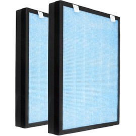 2 Pack Replacement Filter HSP002 For Hathaspace HSP002 Smart True HEPA Air Purifier