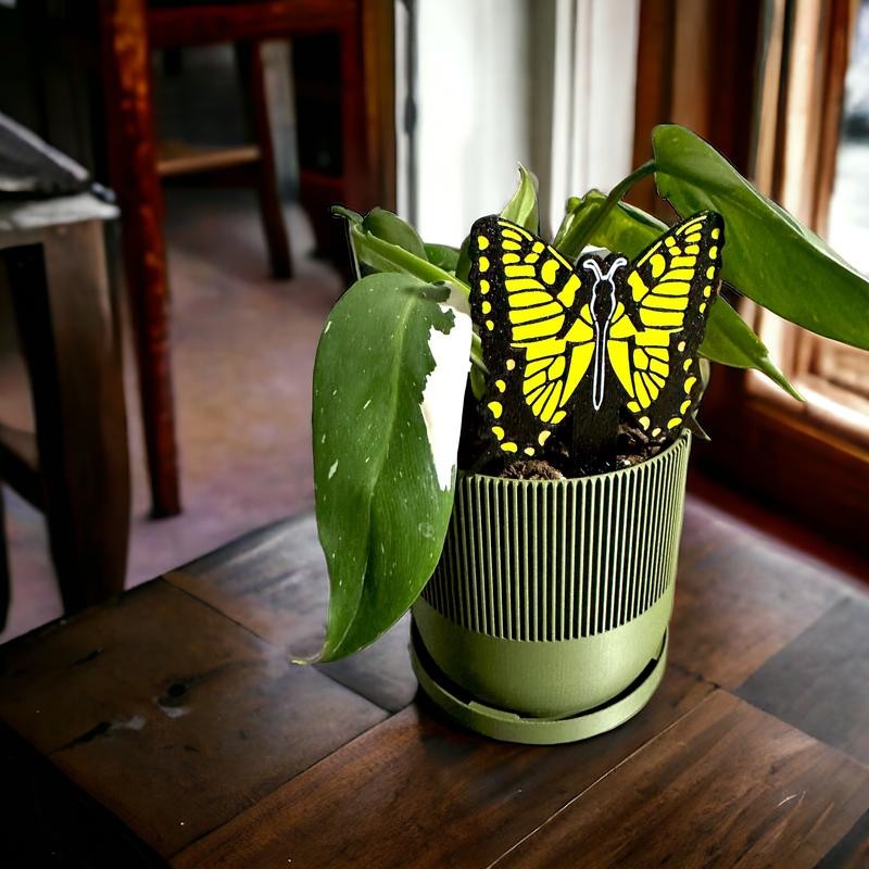 Fungus Gnat & Fruit Fly Trap Stakes: Hide Sticky Traps
