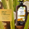 Shampoo Herbal Essences Bío:renew Leche De Coco - 865 Ml