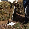 Gemplers Pickup Tool (32")