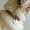 Placa de Identificación Personalizada para Perros y Gatos – –