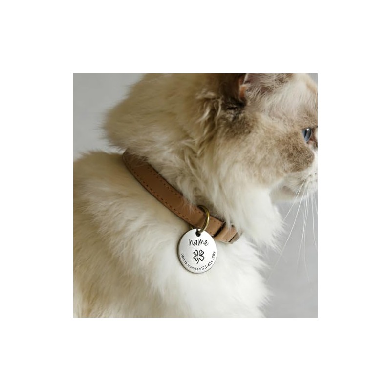Placa de Identificación Personalizada para Perros y Gatos – –