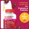SmartyPants SmartyPants Adult Probiotic/Prebiotic Grape 6B CFU 60ct