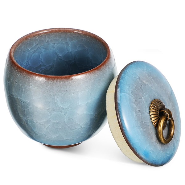 Small Pet Urn for Ashes Thoughtful Keepsake Memorial in Beautiful