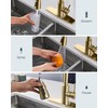FORIOUS Gold Kitchen Faucet with Pull Down Sprayer, Bar High