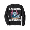 Computer Nerds Axolotls Lover Funny I Axolotl Questions Sweatshirt