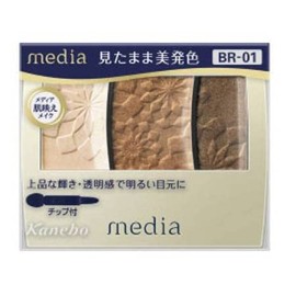 [Kanebo Corporation] Media guradekara-aisyadou BR – 01 