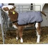Agritura Calf Coat Ripstopp,back length 70 cm - A24921