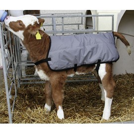 Agritura Calf Coat Ripstopp,back length 70 cm - A24921