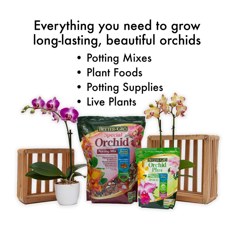 Better-Gro Orchid Plus 20-14-13 - Urea-Free Orchid Fertilizer for Vigorous