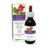 Common Barberry or European Barberry (Berberis vulgaris) Root bark Alcohol-Free