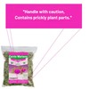 Cardo Mariano - Milk Thistle Loose Leaves (4.1 oz/116.2 gr)