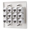 IBL - Cat6 Keystone Ethernet Wall Plate Female to Female