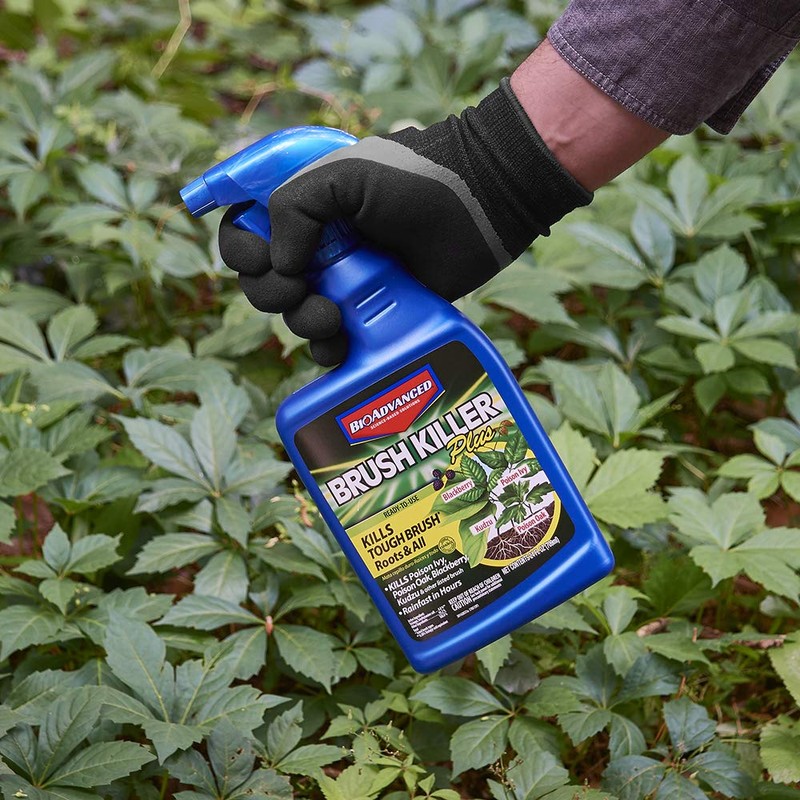 BioAdvanced Brush Killer Plus, Ready-to-Use, 24 oz