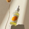 12GRABS 10 Elements Vita Serum 50ml - 트웰브그랩스 텐 엘레멘츠