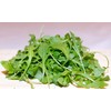 Arugula Seeds -"Slow Bolt" - aka Roquette - Heirloom -