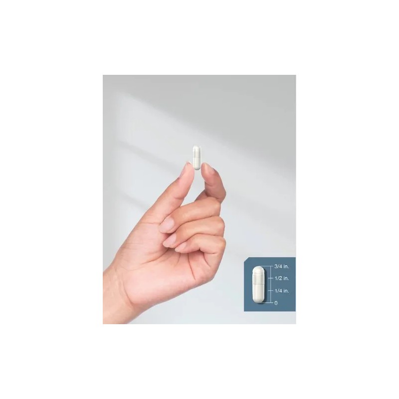 Pregnenolone 100mg Apoyo Hormonal Y Bienestar 180 Americano