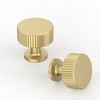 Coinkoly CK-EU0019 Pack of 10 Furniture Knobs, Gold Furniture Knobs,