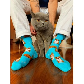 Hot Sox womens Dog Lovers Novelty Fashion Crew Casual Sock, Corgi (Aqua), 6 12 US