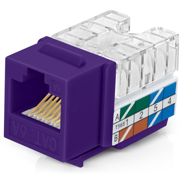 Everest Media Solutions 90° Angled CAT6A Keystone Jack in Purple