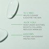 Skin 2.0 Tea Tree & Aloe Exfoliating Scrub - Dermatologist