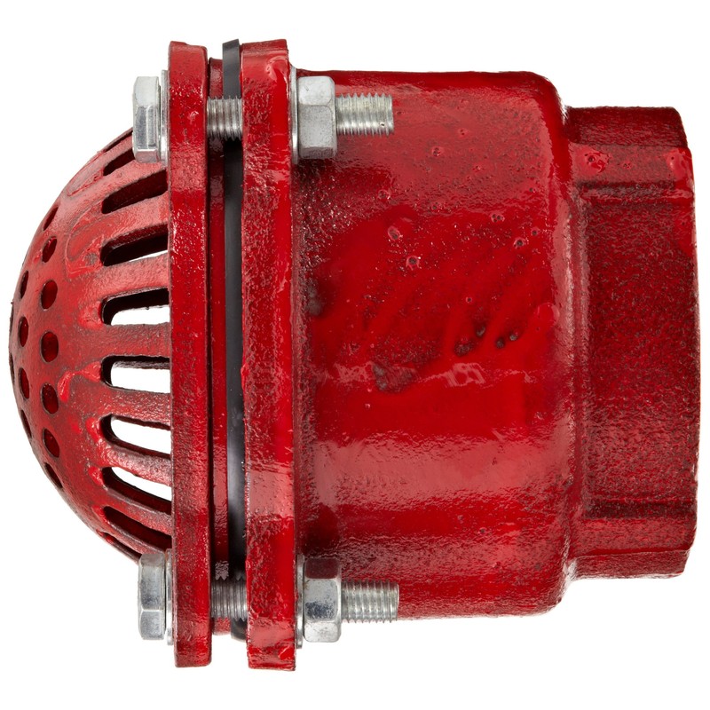 Dixon DFVS35 Painted Carbon Threaded Foot Valve Complete Assembly, 3"