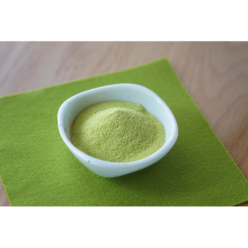 FINE JAPAN Yuto Arisa Seriously Made Protein Matcha Flavor 351g