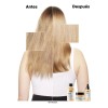 Shampoo L'Oréal Pro Absolut Repair Cabello Muy Dañado 300 ml