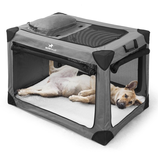 CAPHAUS Collapsible Soft Dog Crate with 4 Mesh Door, Portable
