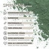 Spirulina Powder 100 g Natural Pure without Additives Superfood Algae