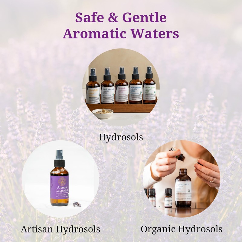 Aromatics International Frankincense Hydrosol 100ml