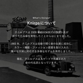 Knirps T.220 Botany Shell KNTL220-8785 Folding Umbrella, Automatic Open and Close, Safety System, BotanyShell