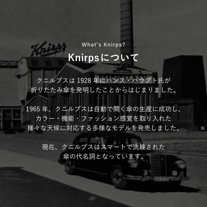 Knirps T.220 Botany Shell KNTL220-8785 Folding Umbrella, Automatic Open and