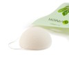 Garnier Face Scrub Konjac Sponge Pimples Remove Pimples Konjac Herbal