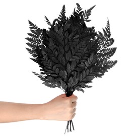 M METERXITY 10-Pack Fern, 15" Natural Dried Greenery with Stems for Wedding Garland Bouquet/Home Party/DIY Crafts Decors, Dried Plants [Black]