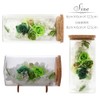 Teat Sight Preserved Flower Flower Bottle Gift Box Soleil (Rose,
