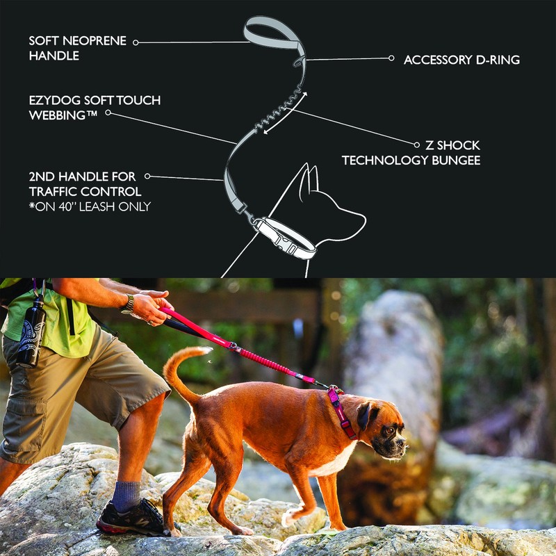 EzyDog ZERO SHOCK Leash - Best Shock Absorbing Dog Leash,